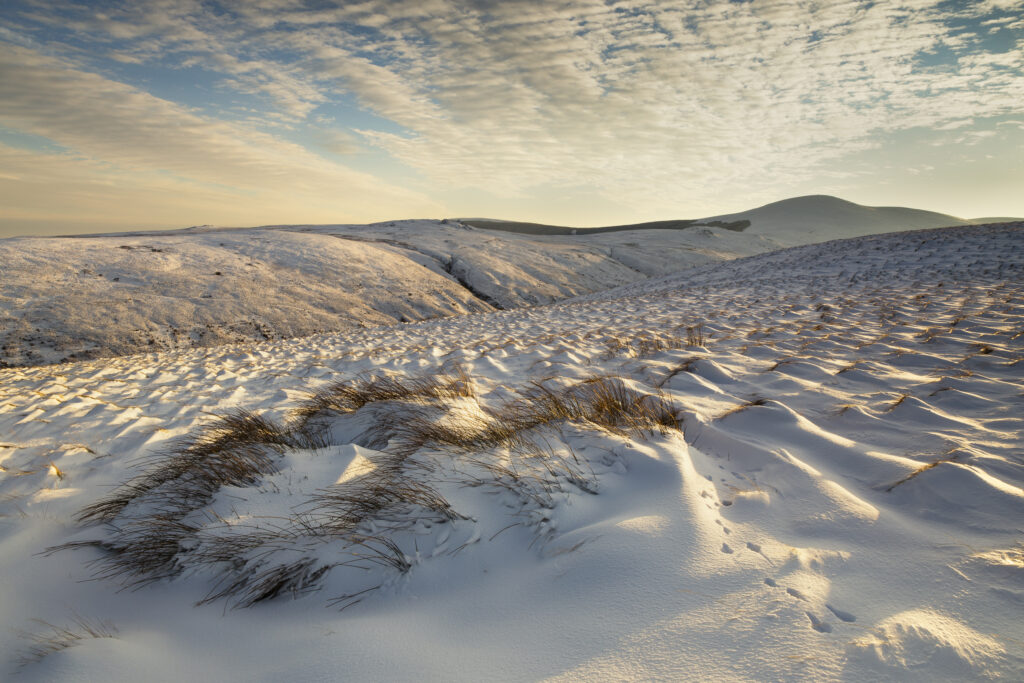England, Northumberland, Harthope Valley. A winter scene of the snow covered Cheviot Hills looking from Snear Hill towards Hedgehope Hill, within the Northumberland National Park near Wooler.