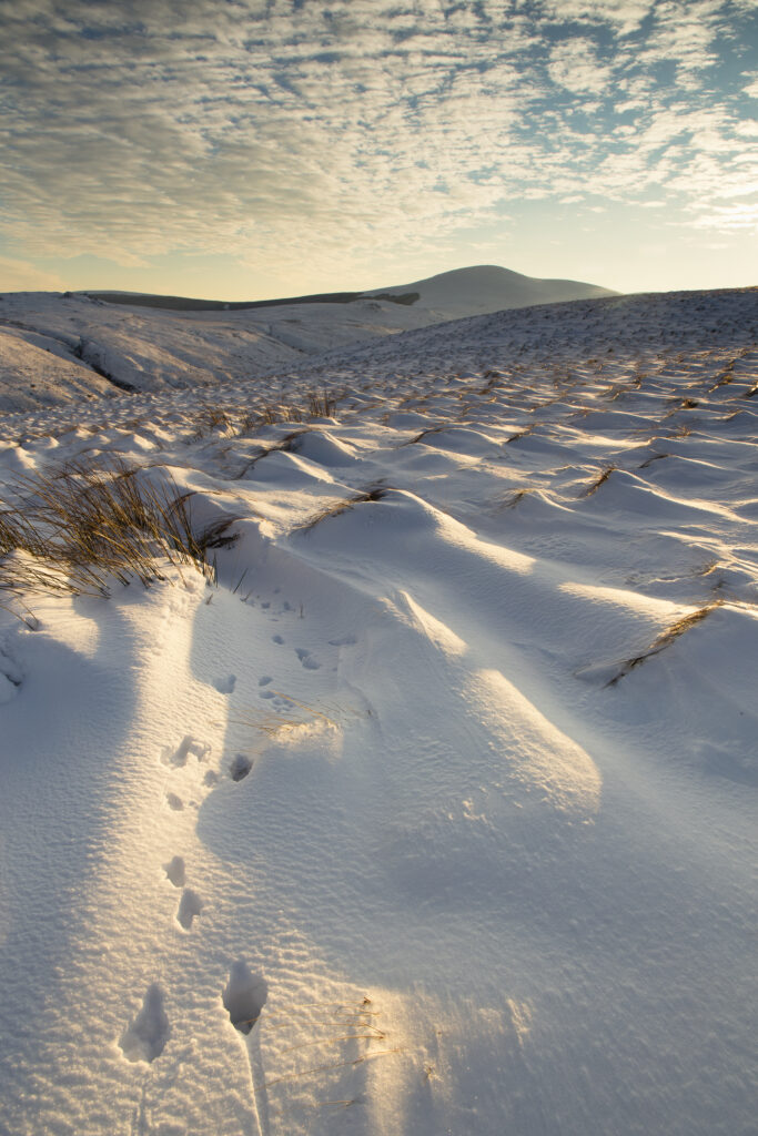 England, Northumberland, Harthope Valley. A winter scene of the snow covered Cheviot Hills looking from Snear Hill towards Hedgehope Hill, within the Northumberland National Park near Wooler.