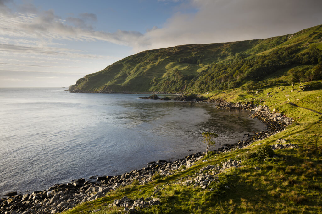 Northern Ireland, Country Antrim, Murlough Bay. Early morning sun illuminates the coastline of Murlough Bay, located near the coastal town of Ballycastle.