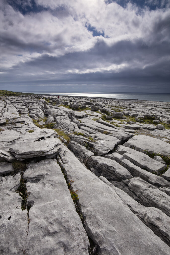 Republic of Ireland, County Clare, The Burren at Black Head. Grike and Clint in the limestone karst-landscape of The Burren near Galway Bay.