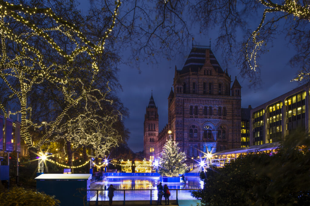 England, London, The Royal Borough of Kensington and Chelsea, Natural History Museum. An ice skating rink situated alongside the Natural History Museum surrounded by Christmas decorations and a xmas tree.