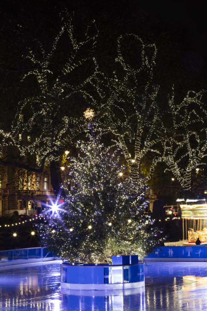 England, London, The Royal Borough of Kensington and Chelsea, Natural History Museum. An ice skating rink situated alongside the Natural History Museum surrounded by Christmas decorations and a xmas tree.