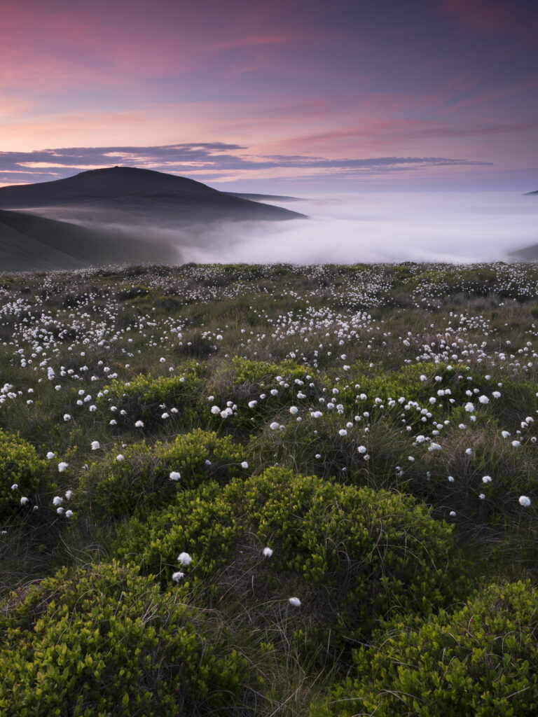 England, Northumberland, Northumberland National Park.