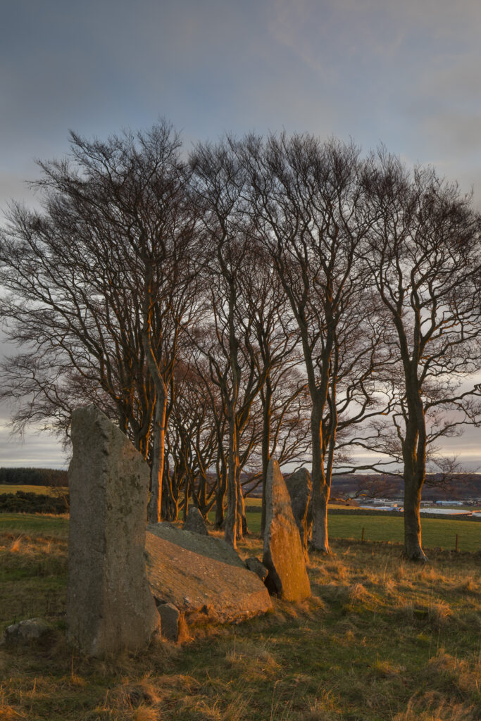 Scotland, Aberdeenshire, Tyrebagger Stone Circle. First light of the day illuminates the recumbent stone circle at Tyrebagger on the outskirts of Aberdeen over looking the Airport.