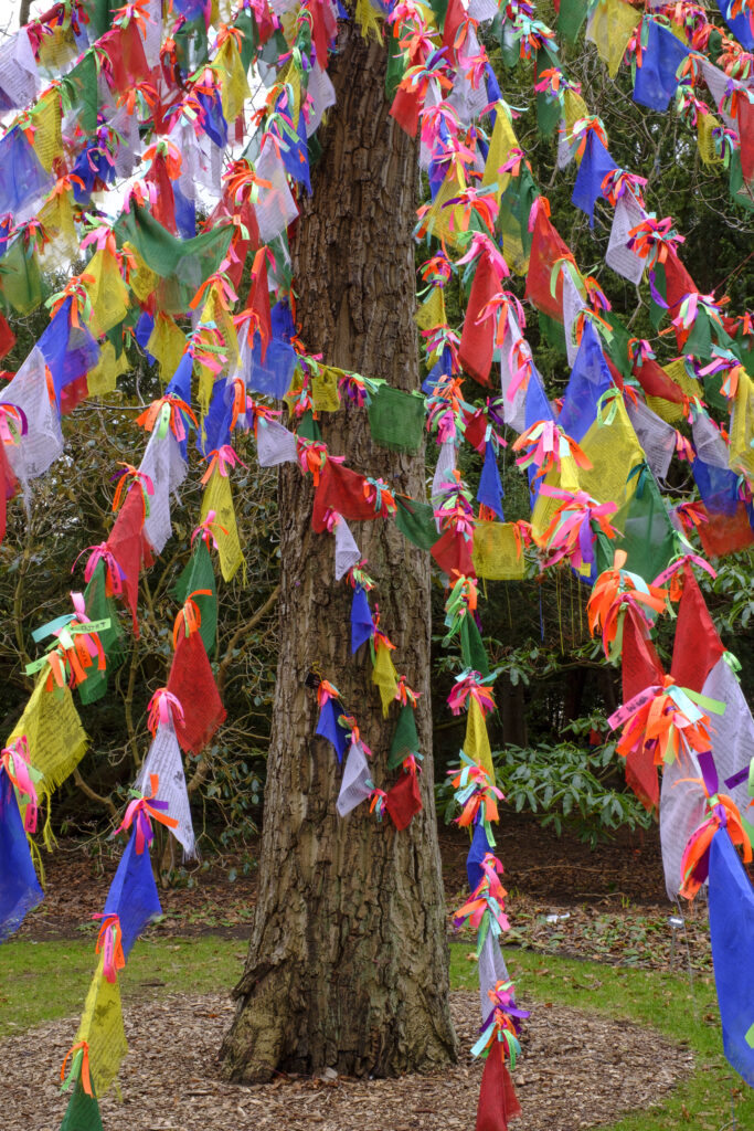 Scotland, Edinburgh, Royal Botanic Garden Edinburgh. Prayer Flags on a tree in the gardens of the RBGE. Prayer Flags are a common sight on mountain passes across Nepal, Bhutan and Tibet.