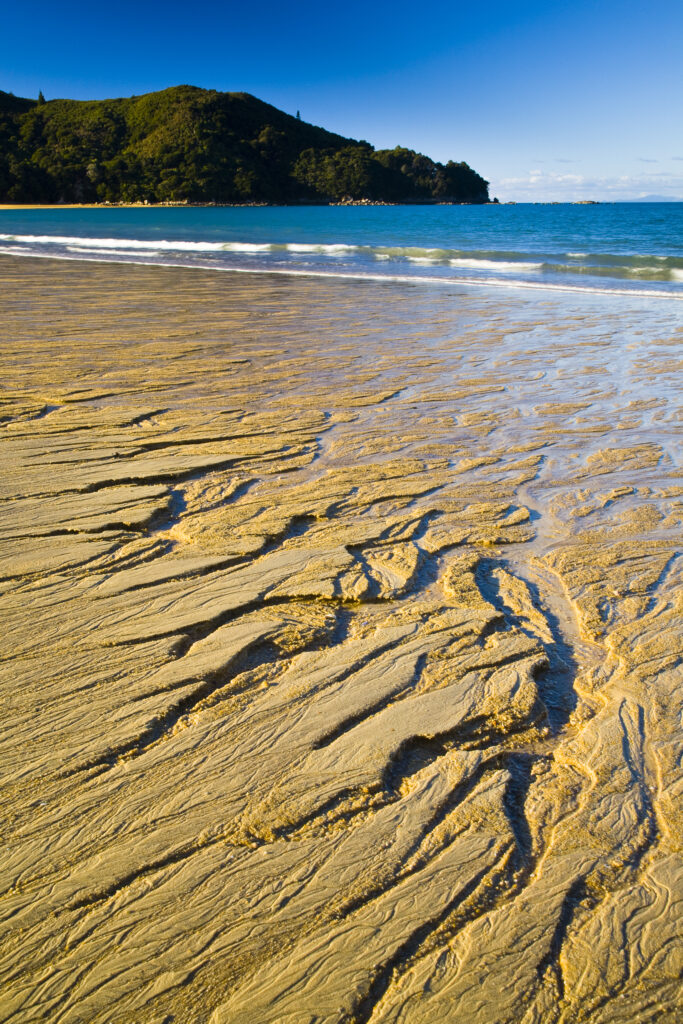 New Zealand, Nelson, Abel Tasman National Park. Bark Bay, a pictureqsue sandy beach encountered whilst hiking the Coastal Track.