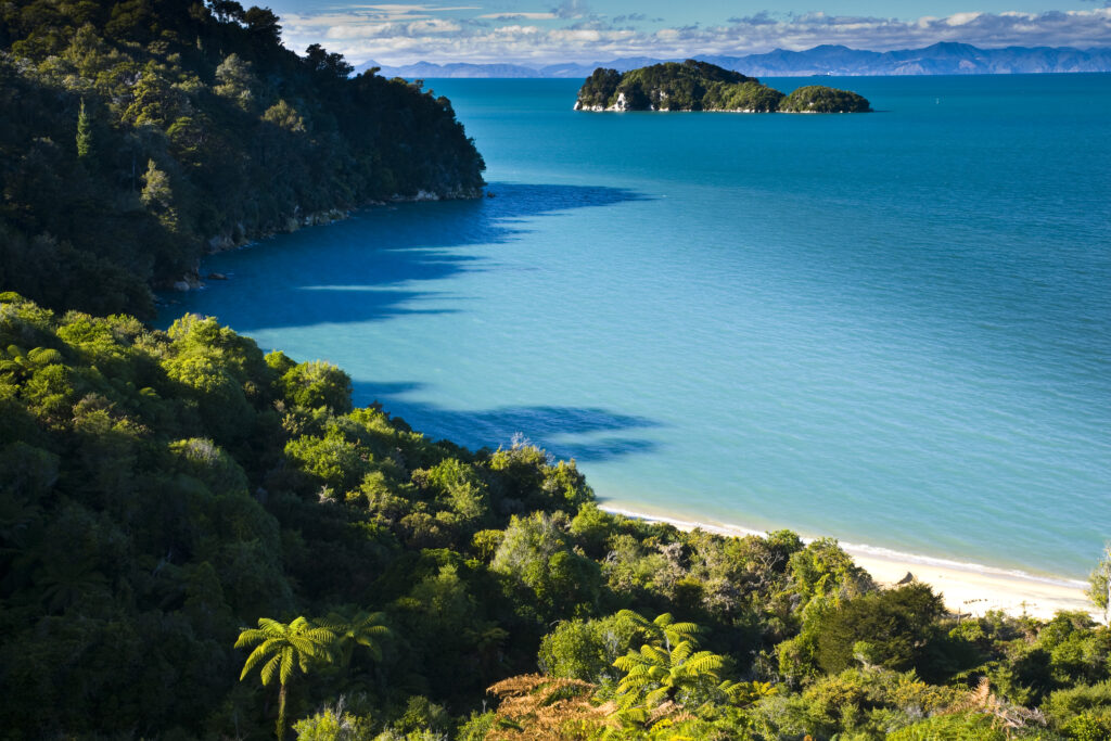 New Zealand, Nelson, Abel Tasman National Park. Lush rainforest fringing Stillwell Bay, viewed whilst hiking the Coastal Track.