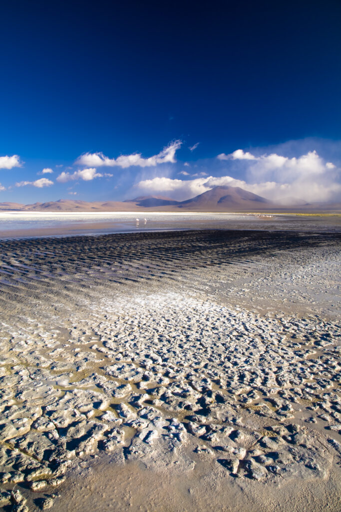 Bolivia, Southern Altiplano, Laguna Colorada. The dramatic other world landscape of the Laguna Coloroda otherwise know as the coloured lake.