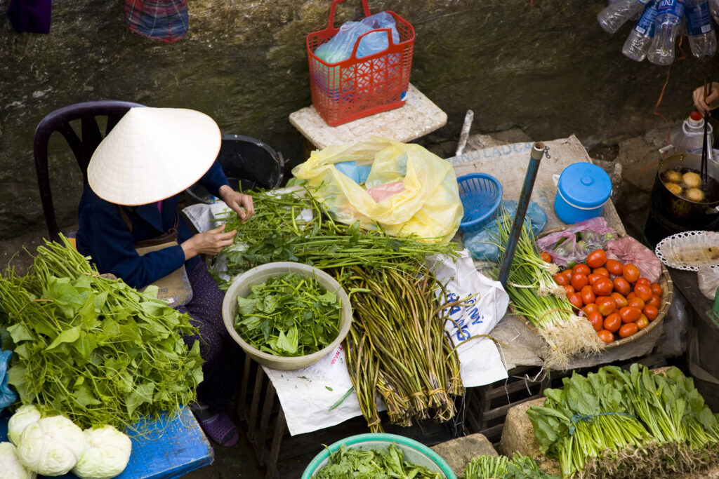 Vietnam, Northern Vietnam, Sapa. Vietnamese woman wearing a classic vietamese hat, selling colourful local produce at a food market in Sapa.
