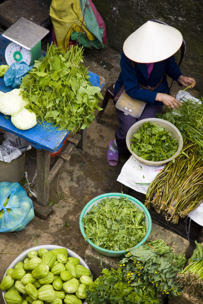 Vietnam, Northern Vietnam, Sapa. Vietnamese woman wearing a classic vietamese hat, selling colourful local produce at a food market in Sapa.
