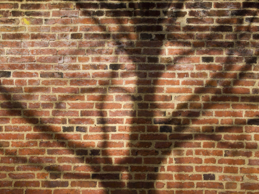 England, Tyne and Wear, Gibside Estate. Shadow of a tree on the bricks of the wall of the walled garden within the Gibside Esate.