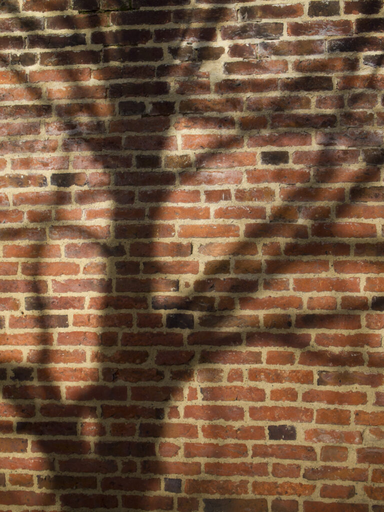 England, Tyne and Wear, Gibside Estate. Shadow of a tree on the bricks of the wall of the walled garden within the Gibside Esate.