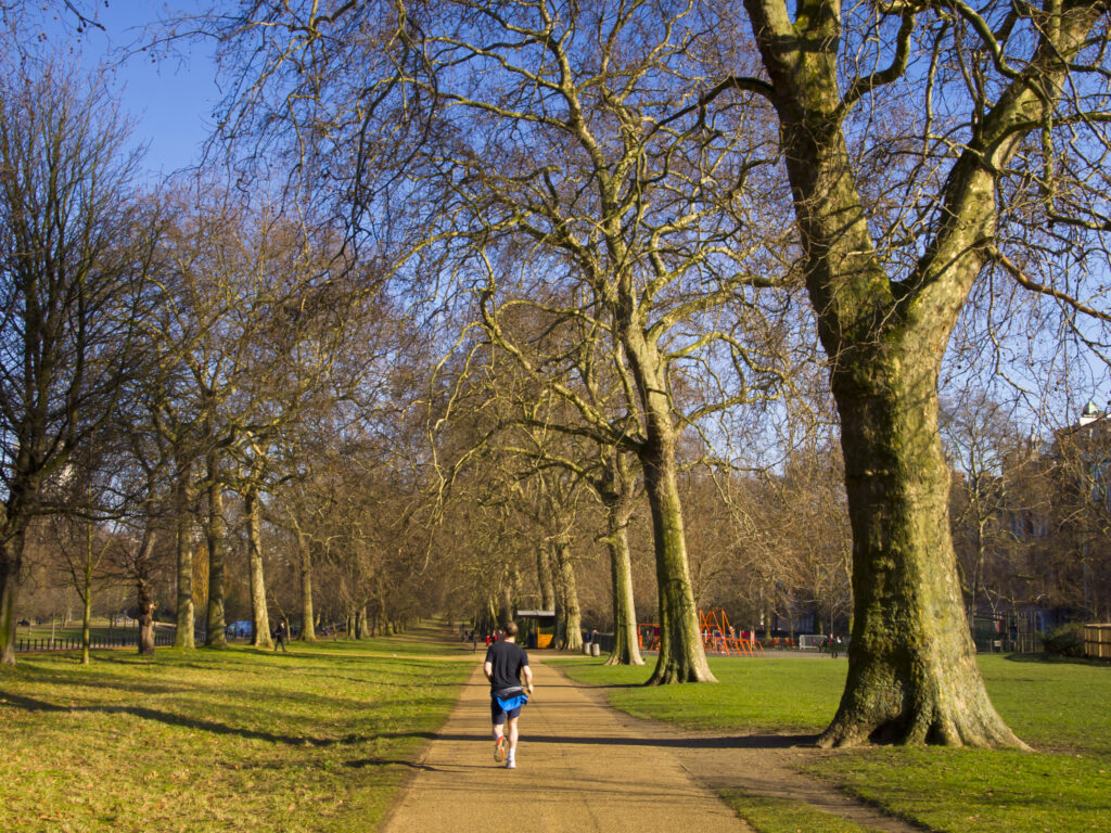 England, London, Hyde Park. Jogger exercising in Hyde Park, a popular green space near the city center of London.