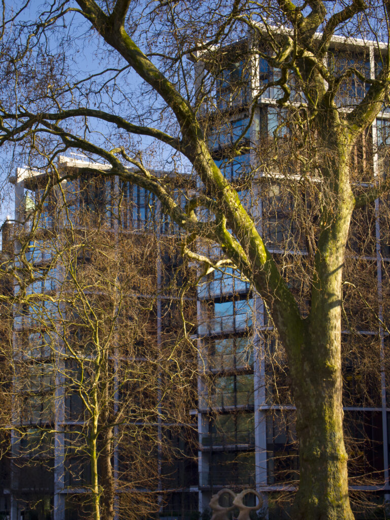 England, London, Hyde Park. Trees on the edge of Hyde Park, with modern buildings and architecture in the background.