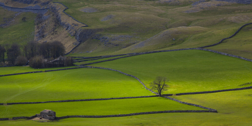England, North Yorkshire, Yorkshire Dales National Park. Looking down on Crummack Dale and it's traditional dry-stone walls and barn which is a typical feature of the Yorkshire Dales.