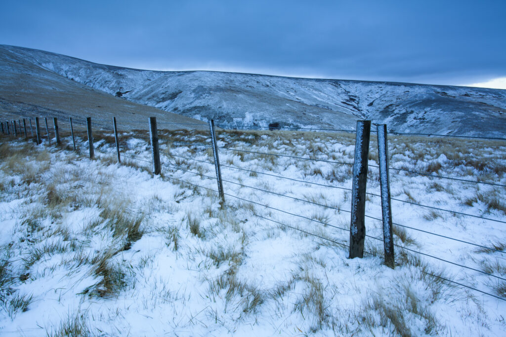 England, Northumberland, Northumberland National Park. A dusting of snow near the summit of the Cheviot, looking towards the Auchope Rig.