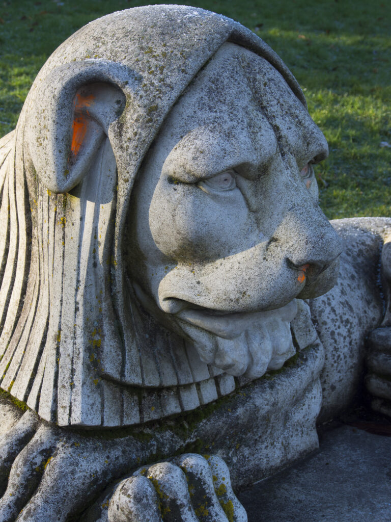 England, Tyne and Wear, Newcastle Upon Tyne. Stone Lion in Leazes Park, the oldest public park in Newcastle, opened in 1873.