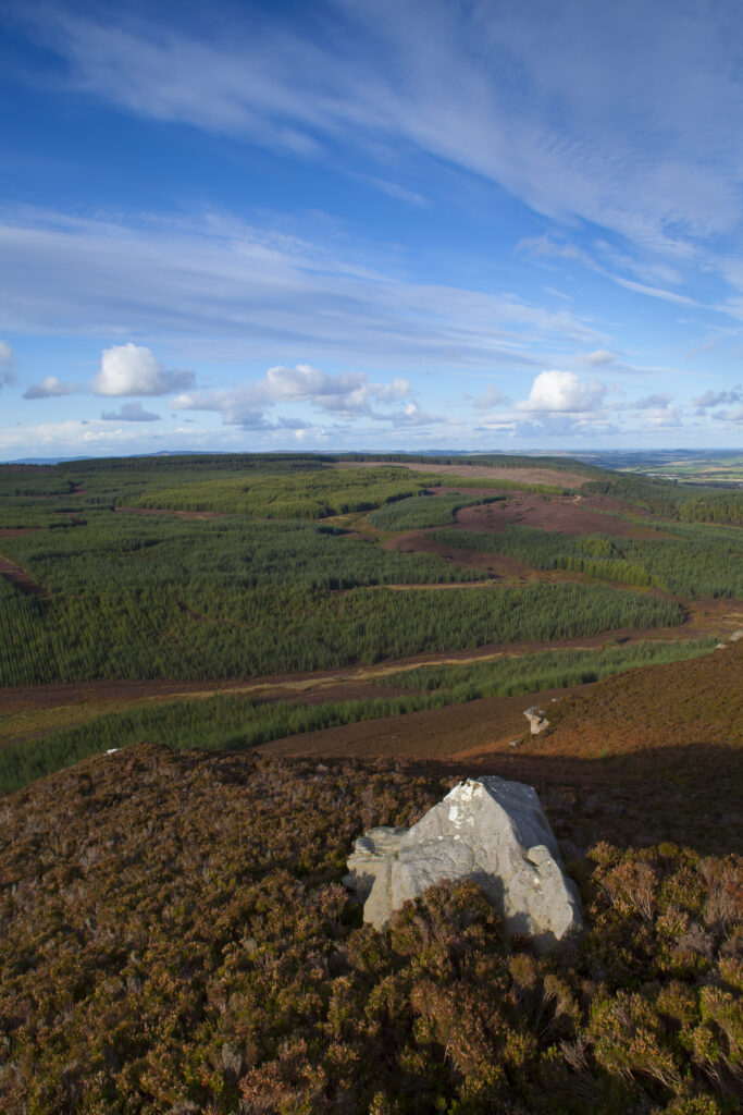 England, Northumberland, Northumberland National Park. View from Long Crag looking towards the forestry commission woodland, Thrunton Woods.