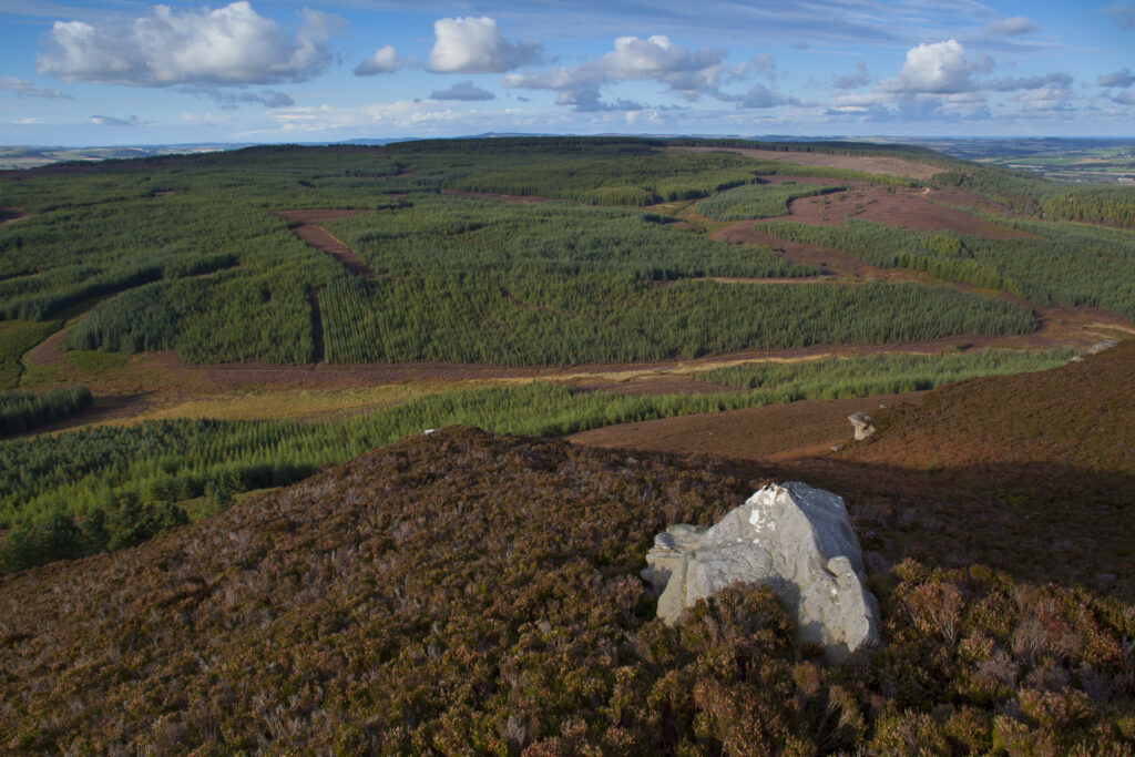 England, Northumberland, Northumberland National Park. View from Long Crag looking towards the forestry commission woodland, Thrunton Woods.