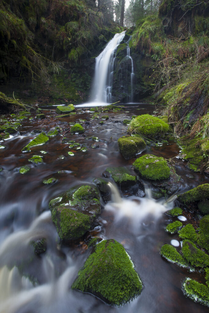 England, Northumberland, Hindhope Linn. Hindhope Linn, a cascade along the Blakehope Burn in the Kielder Forest Park near Blakehopeburnhaugh. Hindhope Linn is located near Bryness Vilage within the Northumberland National Park.