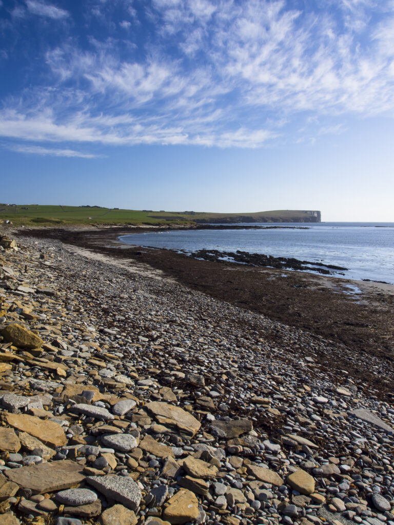 Scotland, Orkney Islands, Mainland Orkney. The dramatic coastline of Birsay Bay looking towards Marwick Head on Mainland Orkney.