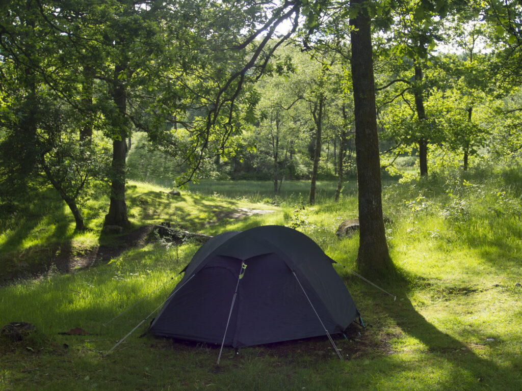 England, Cumbria, Lake District National Park. Tent pitched in the Low Wray woodland campsite near Ambleside in the Lake District.