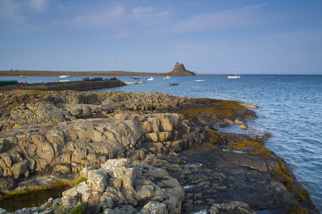England, Northumberland, Lindisfarne / Holy Island. Lindisfarne Castle (National Trust) viewed from across the harbour on Holy Island, part of the Northumberland Heritage Coast.