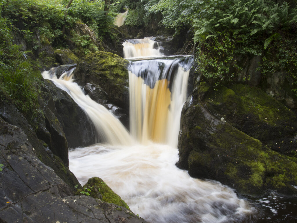 ENGLAND, Yorkshire, Yorkshire Dales National Park. The fast flowing Pecca twin falls waterfalls running through woodland, near Ingleton.
