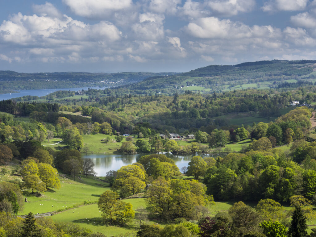 England, Cumbria, Lake District National Park. Elevated view of Loughrigg Tarn with Lake Windermere in the distance.