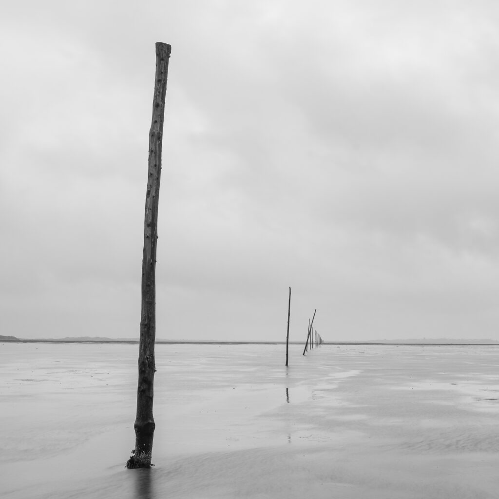 England, Northumberland, Northumberland Heritage Coast. Wooden postd marking the Pilgrim's Causeway linking the Holy Island of Lindisfarne off the Northumberland Coast with the mainland.