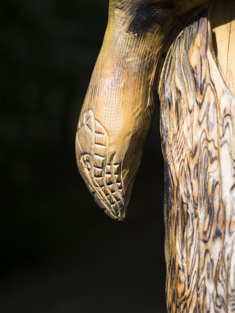 England, Tyne & Wear, Derwent Walk Country Park. A snake carved from a tree in the Derwent Walk Country Park.