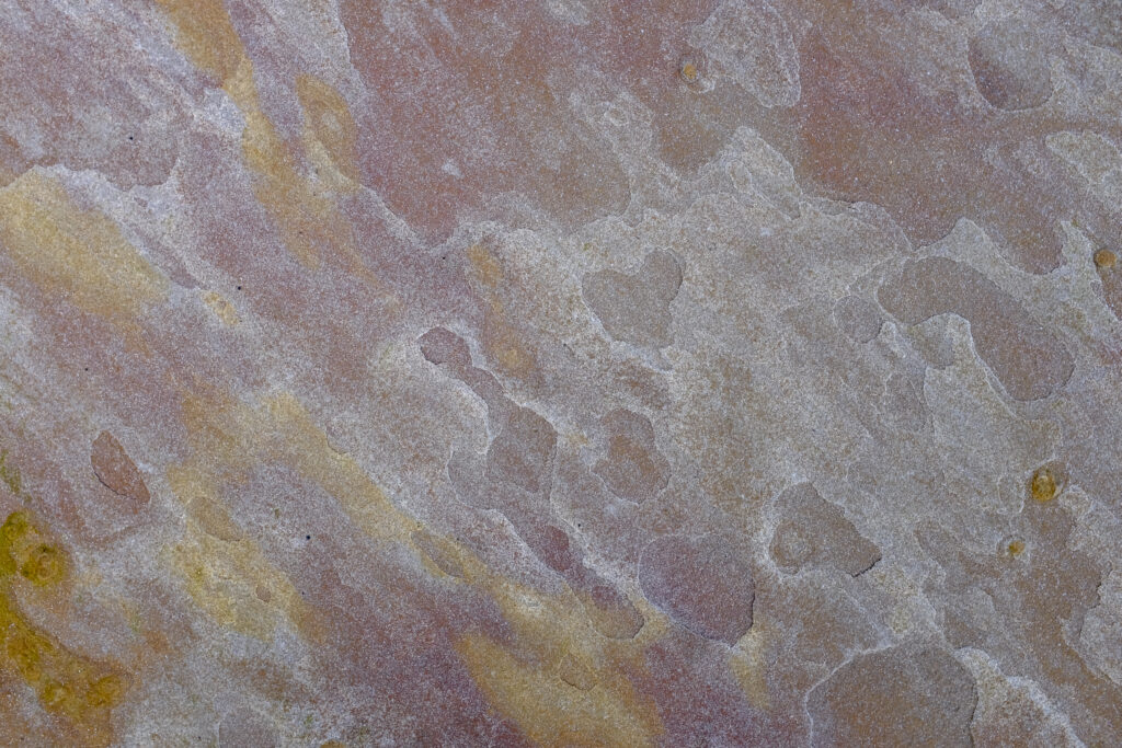 England, Tyne and Wear, St Mary's Island. Abstract colours and patterns on a shoreline rock on the coast of st marys island.
