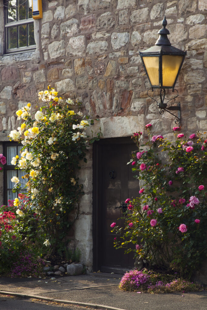 England, Northumberland, Lindisfarne / Holy Island. Summer scene of flowers outside a doorway of a traditional stone building on Lindisfarne