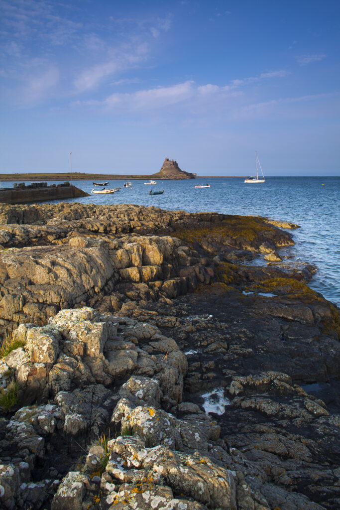 England, Northumberland, Lindisfarne / Holy Island. Lindisfarne Castle (National Trust) viewed from across the harbour on Holy Island, part of the Northumberland Heritage Coast.