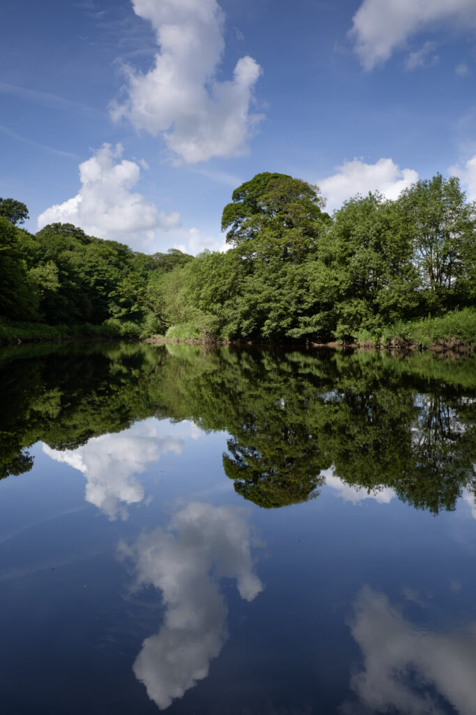 England, Northumberland, Warkworth. Trees is summer reflected upon the still waters of the River Coquet.