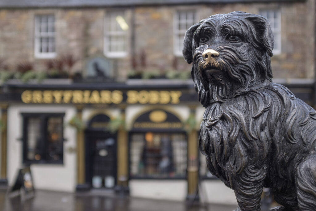 Scotland, Edinburgh, Greyfriars Bobby. Greyfriars Bobby, the famous loyal Skye Terrier who lay on the grave of his master John Gray for 14 years after his death in 1858 - Only leaving his grave briefly to find food.