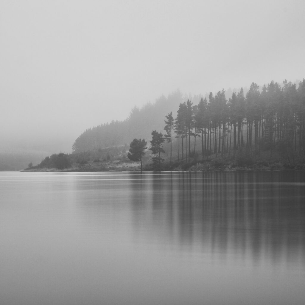 England, Northumberland, Kielder Water & Forest Park. Kielder Forest near the Scottish Borders viewed on a misty winters day.