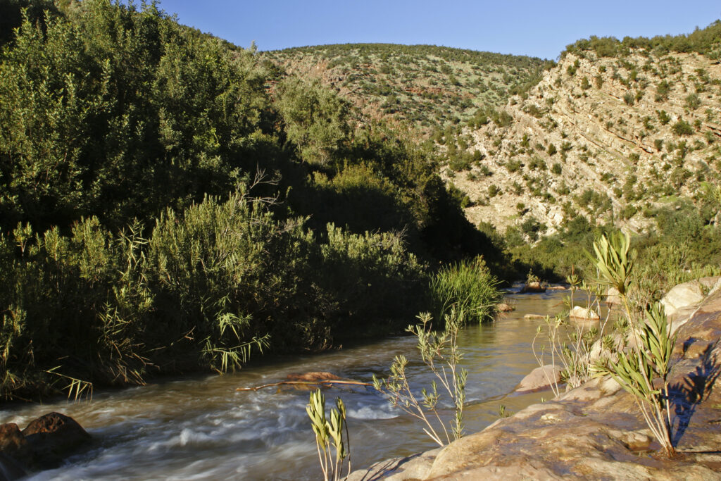 Morocco, Central Morocco, The Ouzoud Gorge. The flowing waters of the river running downstream from the cascades