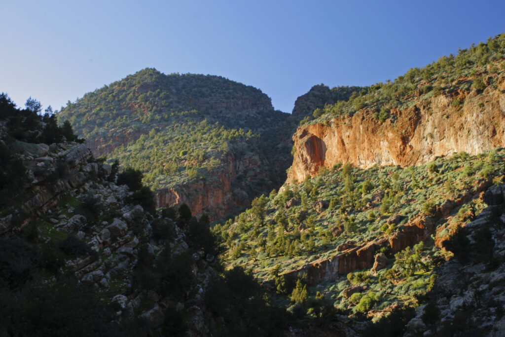 Morocco, Central Morocco, The Ouzoud Gorge. The spectacular wild landscape of the gorge and surrounding hills.