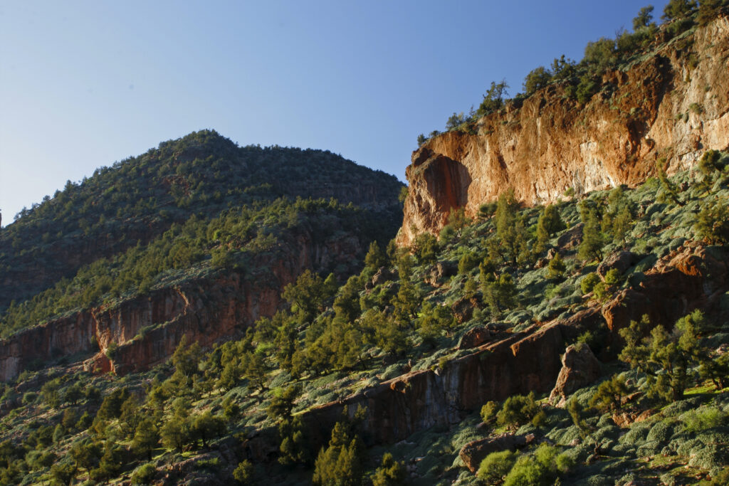Morocco, Central Morocco, The Ouzoud Gorge. The spectacular wild landscape of the gorge and surrounding hills.