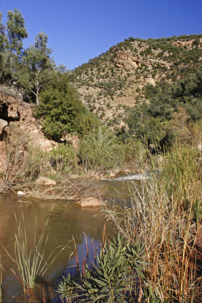 Morocco, Central Morocco, The Ouzoud Gorge. The flowing waters of the river running downstream from the cascades
