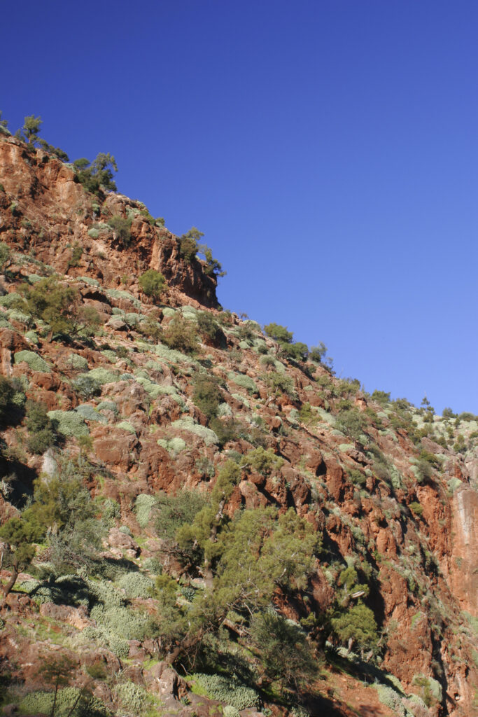 Morocco, Central Morocco, The Ouzoud Gorge. The hills of the gorges of Oued el-Abid, photographed from near the caves