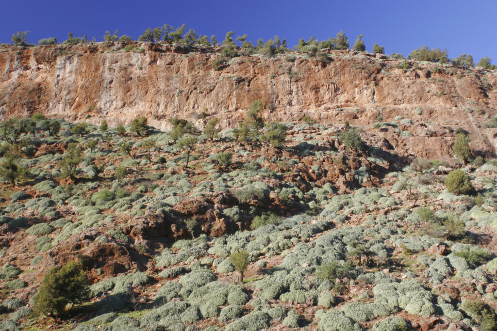 Morocco, Central Morocco, The Ouzoud Gorge. The hills of the gorges of Oued el-Abid, photographed from near the caves