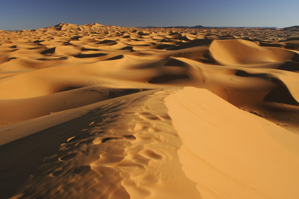 Morocco, Central Morocco, Merzouga. The undulating shapes of the dunes of the Erg Chebbi, part of the Sahara desert