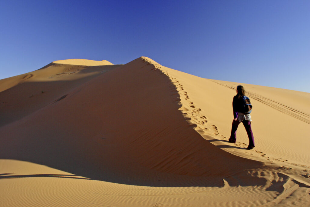 Morocco, Central Morocco, Merzouga. A female tourist backpacker explores the dunes of the Erg Chebbi in the Sahara Desert.