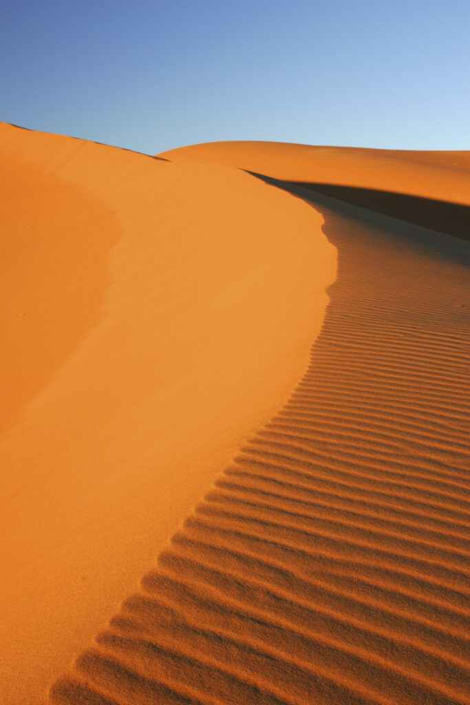 Morocco, Central Morocco, Merzouga. The undulating shapes of the dunes of the Erg Chebbi, part of the Sahara desert