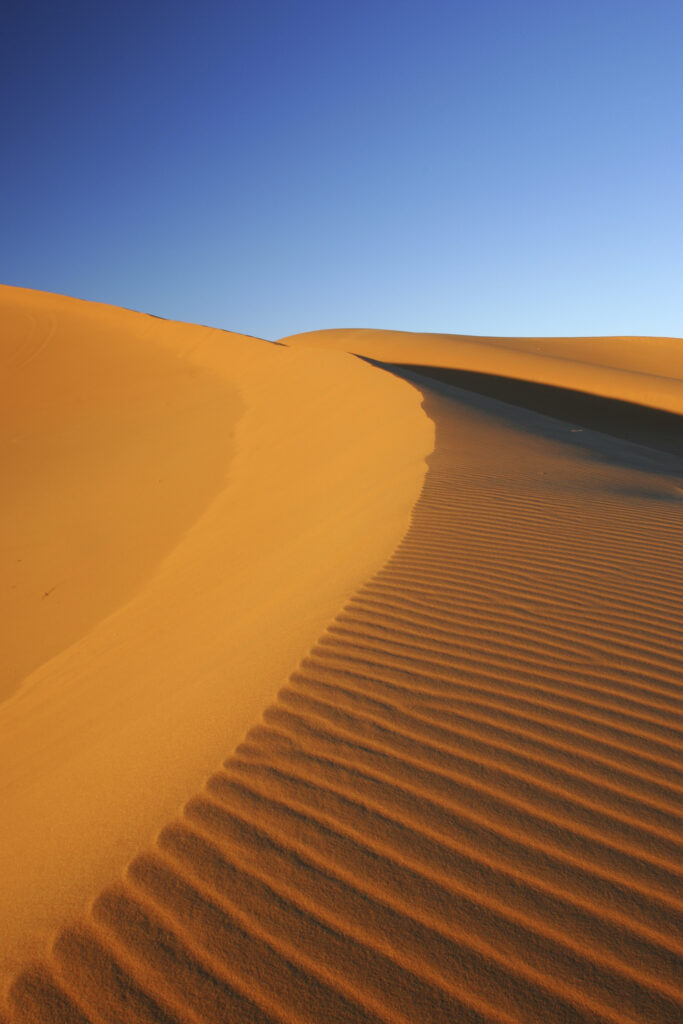 Morocco, Central Morocco, Merzouga. The undulating shapes of the dunes of the Erg Chebbi, part of the Sahara desert
