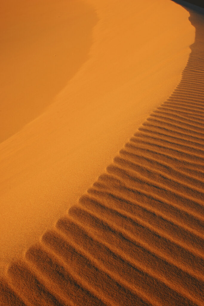 Morocco, Central Morocco, Merzouga. The undulating patterns of the dunes of the Erg Chebbi, part of the Sahara desert