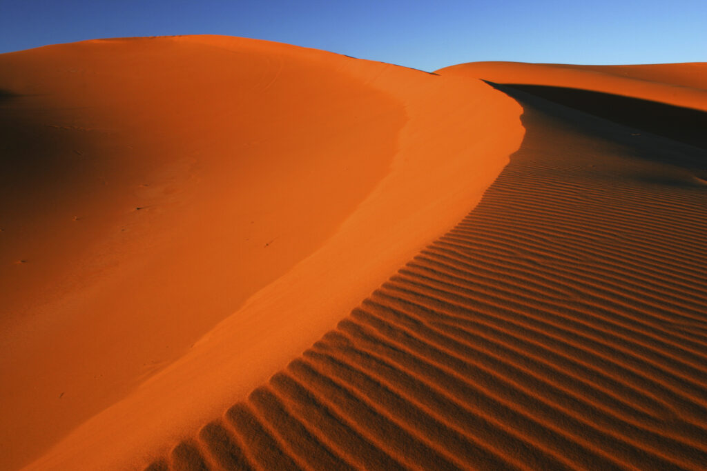 Morocco, Central Morocco, Merzouga. The undulating shapes of the dunes of the Erg Chebbi, part of the Sahara desert