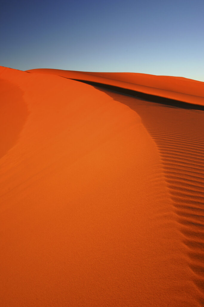 Morocco, Central Morocco, Merzouga. The undulating shapes of the dunes of the Erg Chebbi, part of the Sahara desert